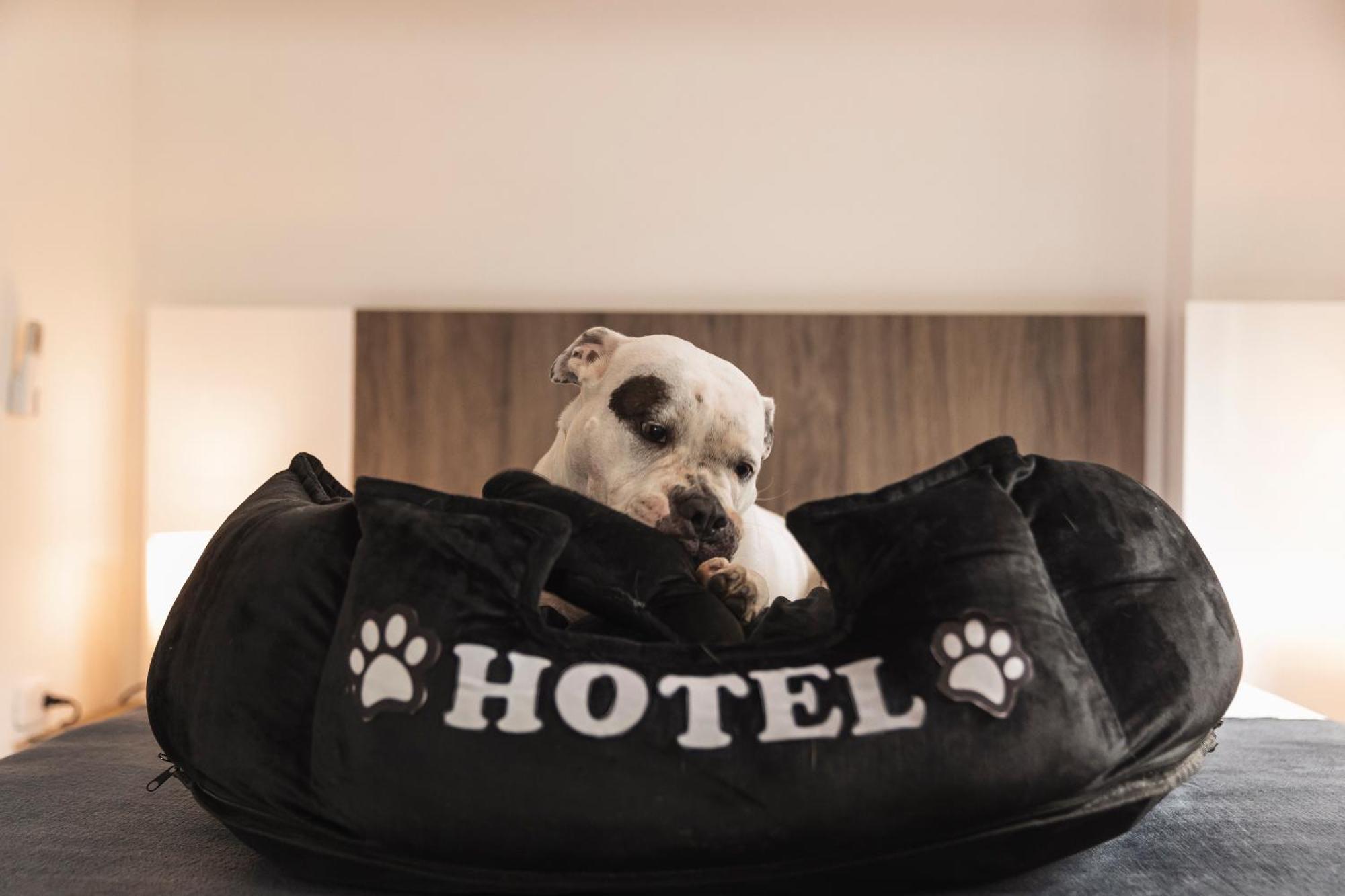 Hotel Boutique Bussines Center Cali Exteriör bild